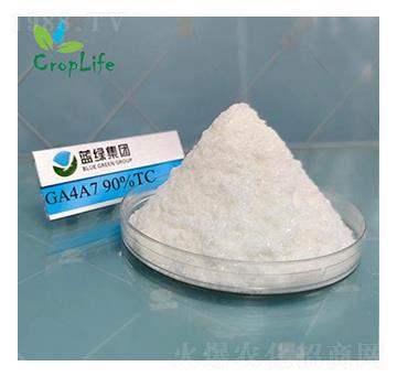 ��ù��A4A7-����˹����