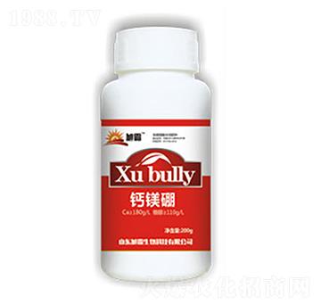 �}�V��ƿ��-�������