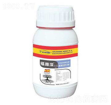 ������-¡��?du��)? />
                                </div>
                            </div>
                            
                            <style type=