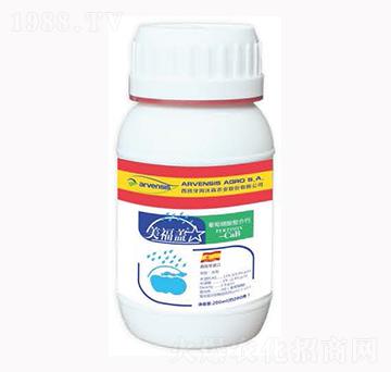 �����w-¡�ꠖ