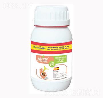 ��¡�V-¡�ꠖ