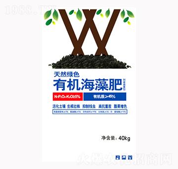 �ЙC(j��)�����-��M�}(c��ng)