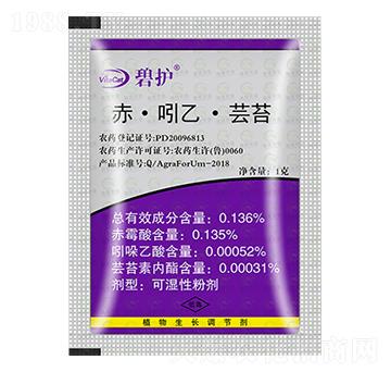 �ࡤ���ҡ��|̦-���o(h��)-�����m�r(n��ng)�I(y��)