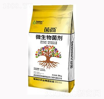 ΢�������-����-�W��˹