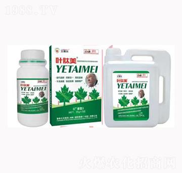 �~�������V�V�ͣ�-��˼��