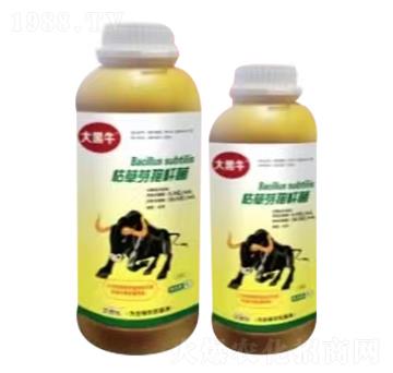 �ݲ�ѿ�ߗU��-���ţ-��˼��