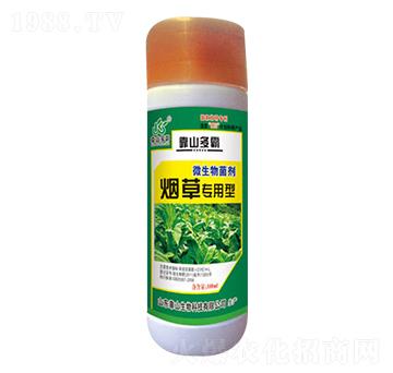 ���݌�(zhu��n)����΢�������-��ɽ����