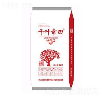 ǧ�~���﹦�ܷ�-���