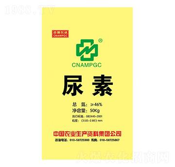 ����-���r�r�Y