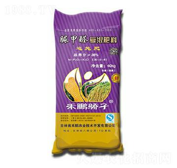 ���ȩ��(f��)�����30-0-8-���i���-���i�r(n��ng)�I(y��)