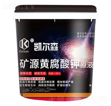 �VԴ�S�����-����