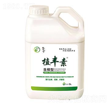 ������-ֲ�S��-������