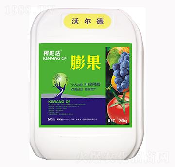 ���-�����_(d��)-�֠���