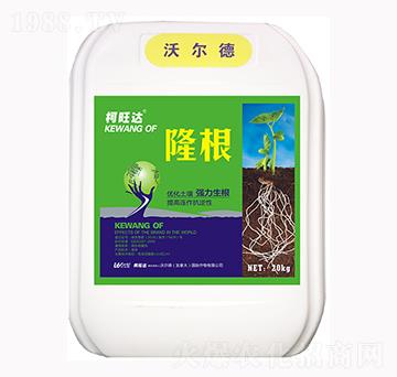 ¡��-�����_(d��)-�֠���