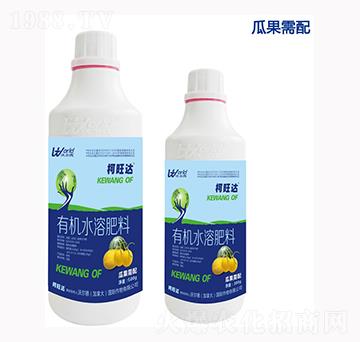 �Ϲ������~���-�����_-�֠���