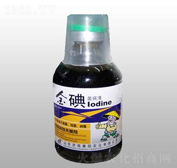 ��������-ِ�(y��ng)�r(n��ng)��