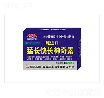 ���M�����L���L������-���S��