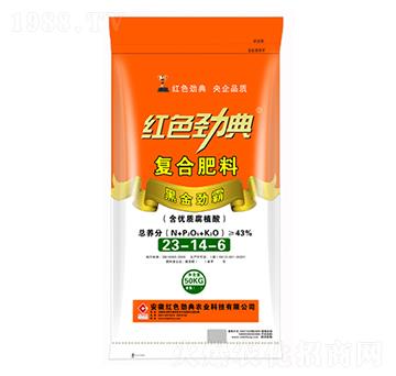 43%�ͺϷ���23-1