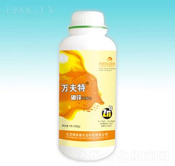 �f�������\�p����-��ԣ��