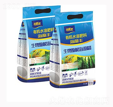 �����S����ø�⺣�徫-���L�`