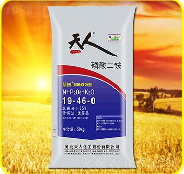 ������@19-46-0