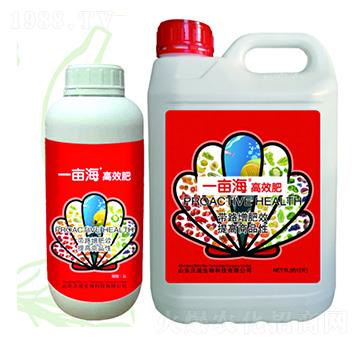 һ������Ч��-��������