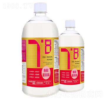 �~(y��)�z������-�Z˼�_(d��)