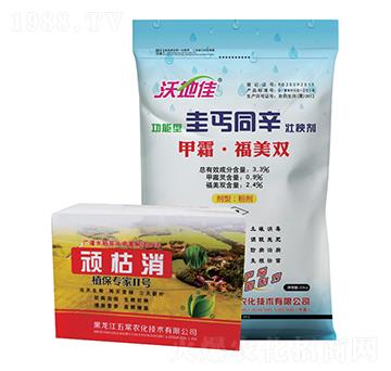 ��ؤͬ�����턩-�ֵؼ�-�峣