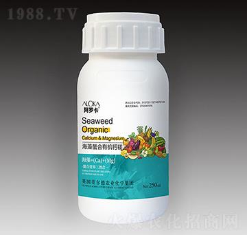 ���������ЙC�}�V-�����_-�Ɲ��r��