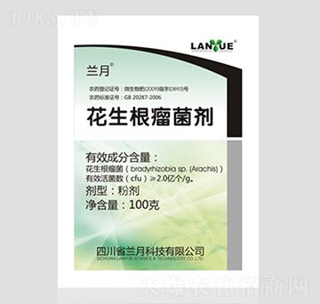 ������������-�m�¿Ƽ�