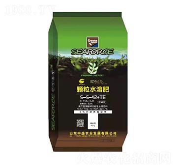 顆粒水溶肥5-5-42+TE-中盛農(nóng)業(yè)