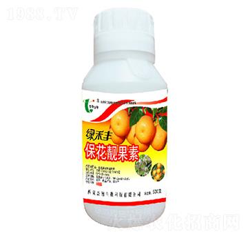 �����n����-�G���S-��������