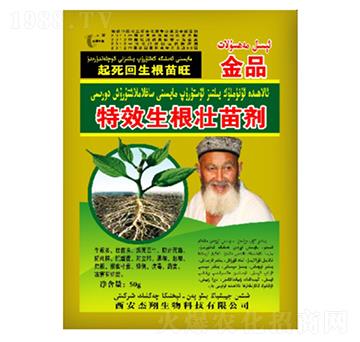 �������焩-��������