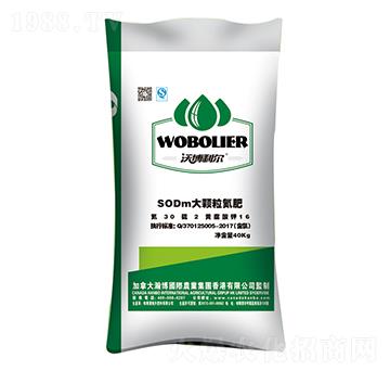 ���w������-¡������