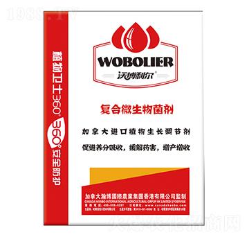 �ֲ�������(f��)��΢�������-¡������