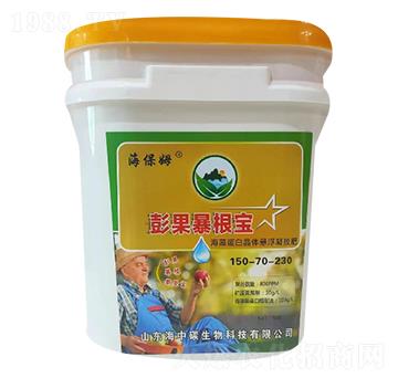 ���������������-����ķ-����̼����