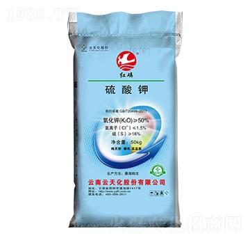 50%�����-�t��-���o����