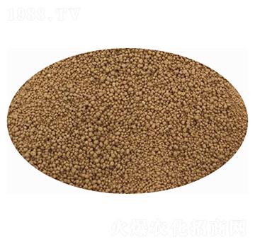 �۰�����-�����Ƽ�