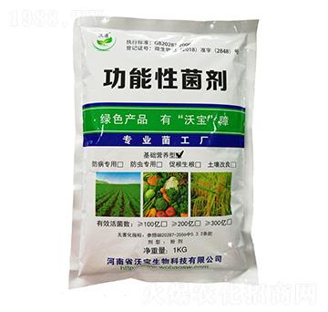 ���A�I�B(y��ng)�͹����Ծ���-�֌�����