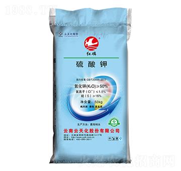 �t��50%�����-���o����