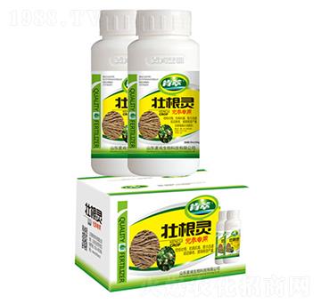 �Ѹ��`�h������-��������