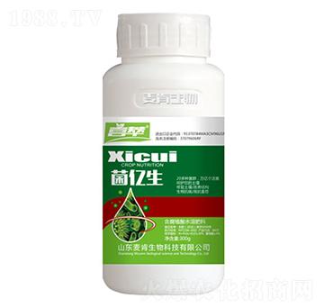 ���|��-��������