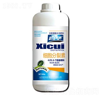 ��(x��)��������-��������