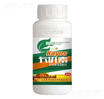 ����(y��u)�ؼך��غ�������-��������