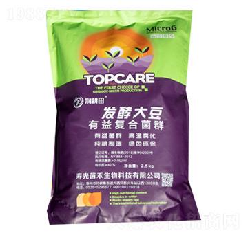 �l(f��)�ʹ������(f��)�Ͼ�Ⱥ-��(r��n)����-��������