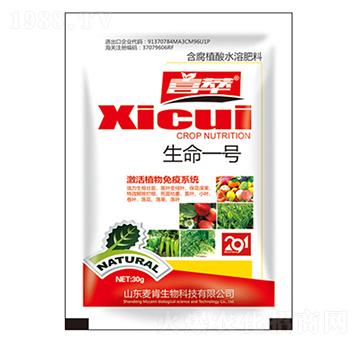 ����һ̖(h��o)-��������