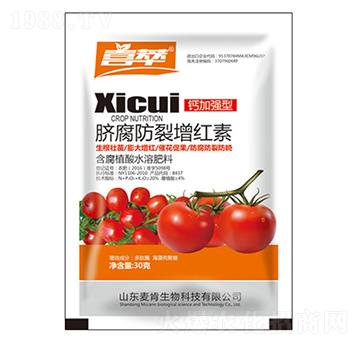 Ě���������t��-��������