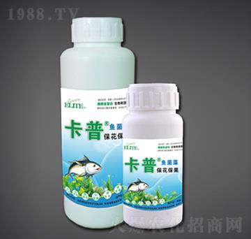 ����������ø���~����-�G�����