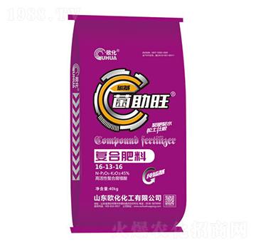 ��������(f��)�Ϸ���16-13-16-�W��