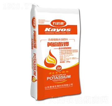 �S�����-��������